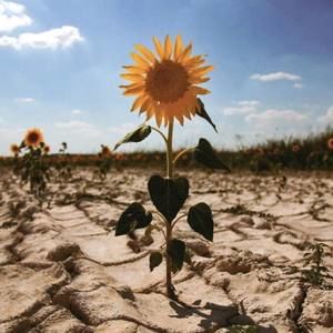 Meet your Posher, Loriann